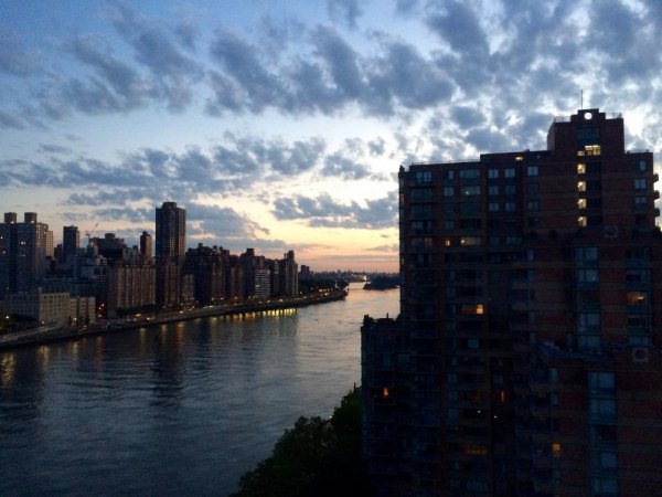 Why Don't We Fix the East River? East River at Sunrise from Roosevelt Island